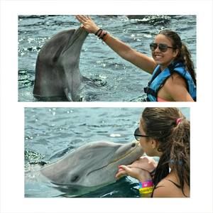 Meet your Posher, Carolina isabel